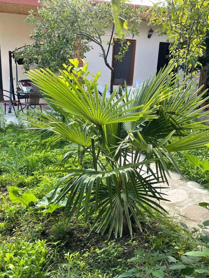 Ani-A Apartment Sighnaghi Bagian luar foto