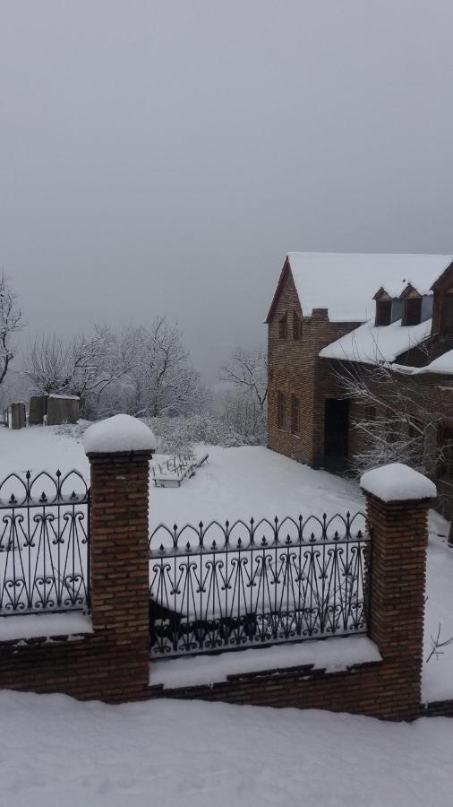 Ani-A Apartment Sighnaghi Bagian luar foto