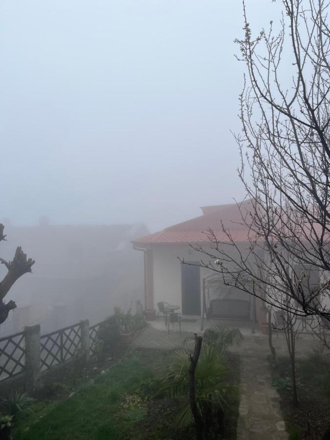 Ani-A Apartment Sighnaghi Bagian luar foto